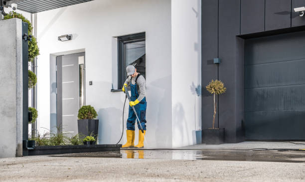 Best Winterizing Services  in Columbus, MN
